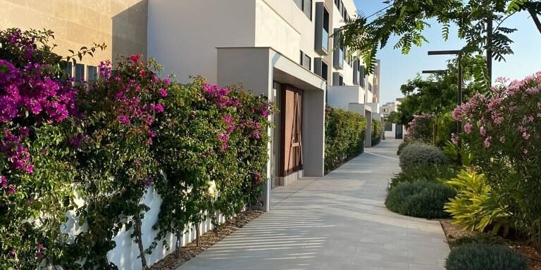 PHOTO-2023-11-16-20-41-07