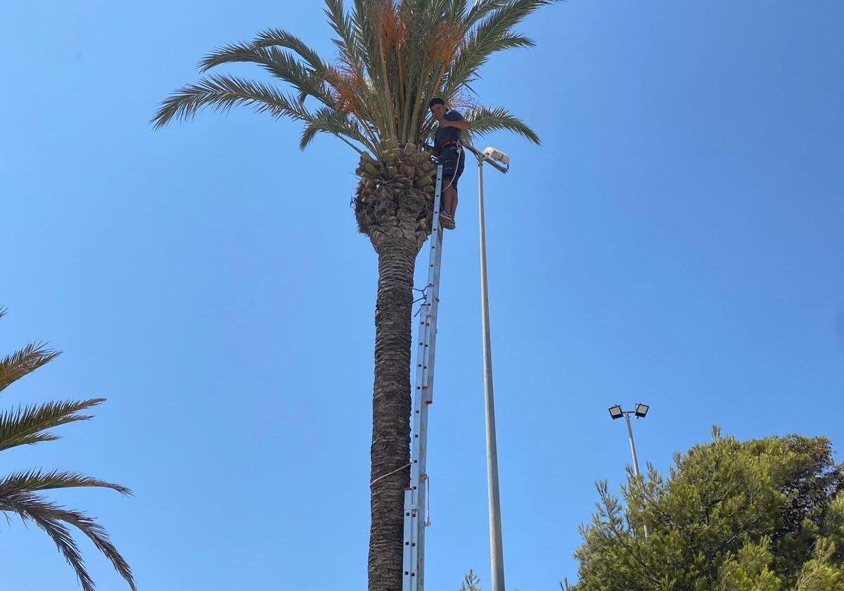 PHOTO-2024-10-30-10-18-19