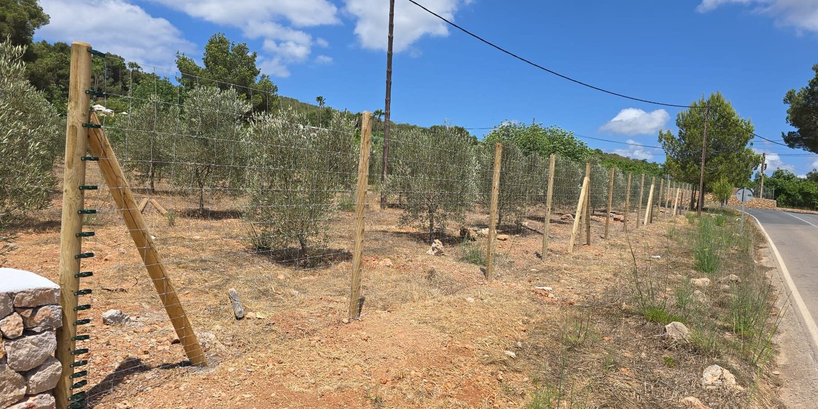 PHOTO-2025-07-11-15-01-10