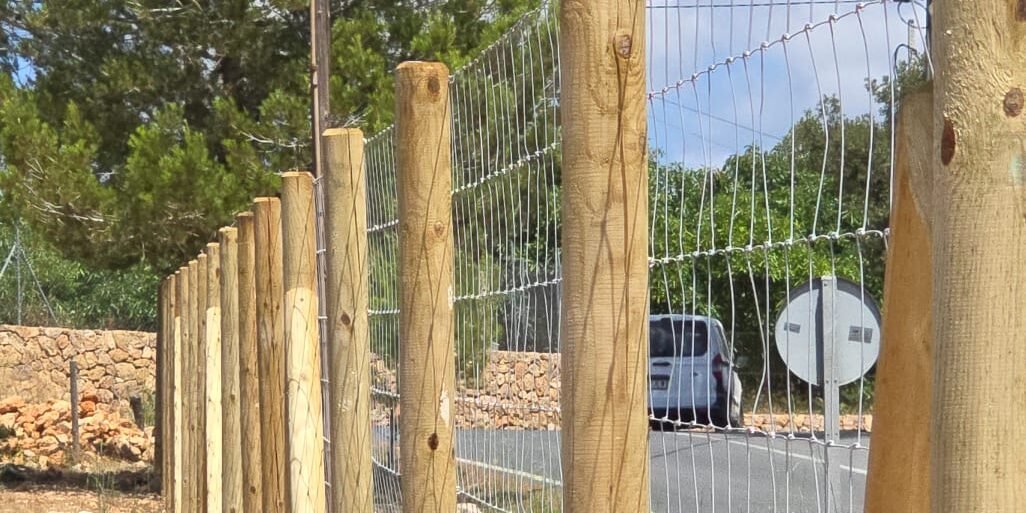 PHOTO-2025-07-11-15-03-20