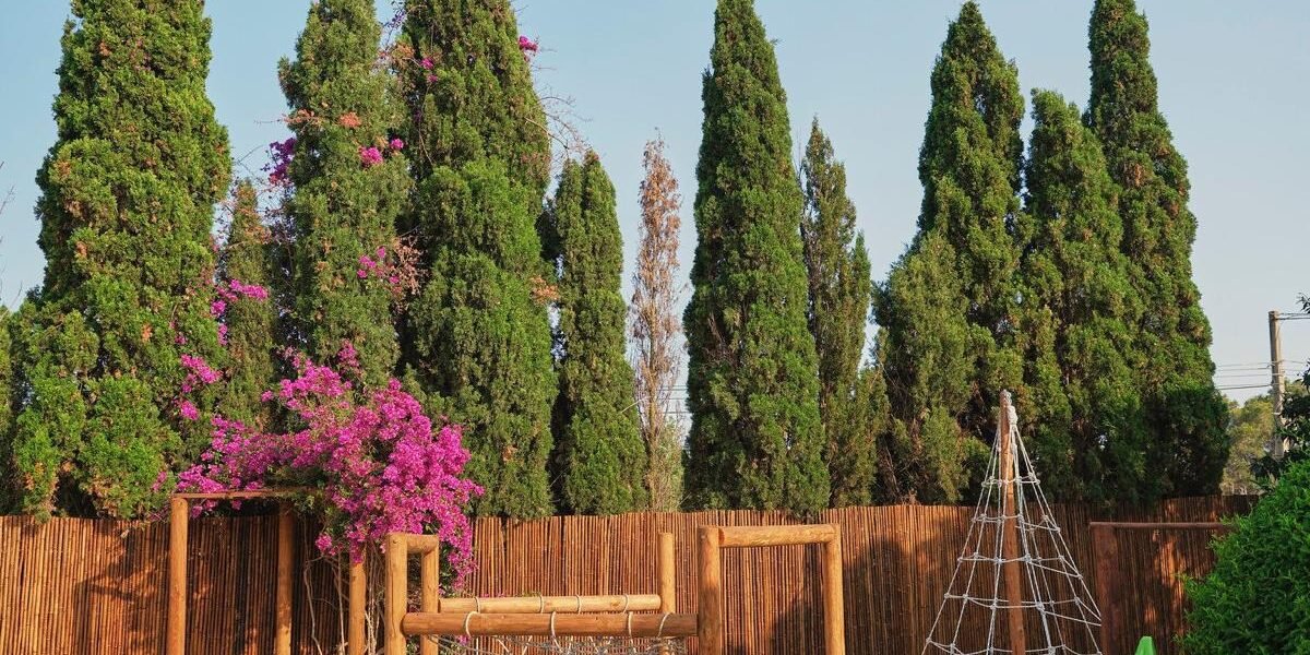 Trabajos en Madera-2025-06-06-10-39-25 (2)