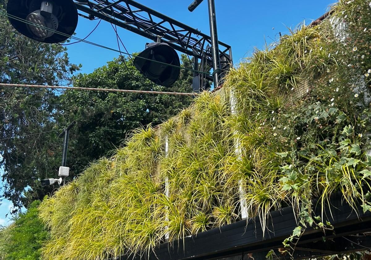 Vertical Garden 2025