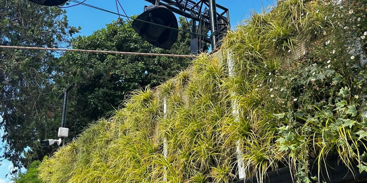 Vertical Garden 2025