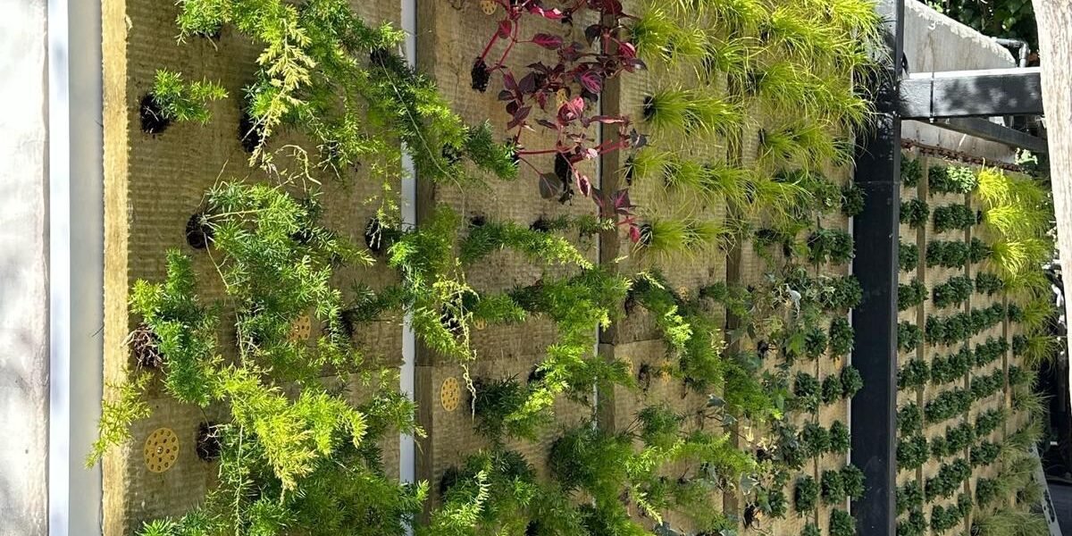 WhatsApp Image 2025-03-27 at 12.04.13