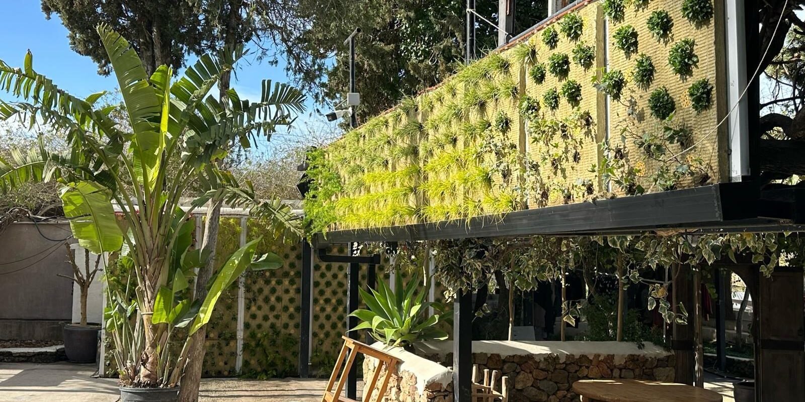 Jardines Verticales - Las Dalias