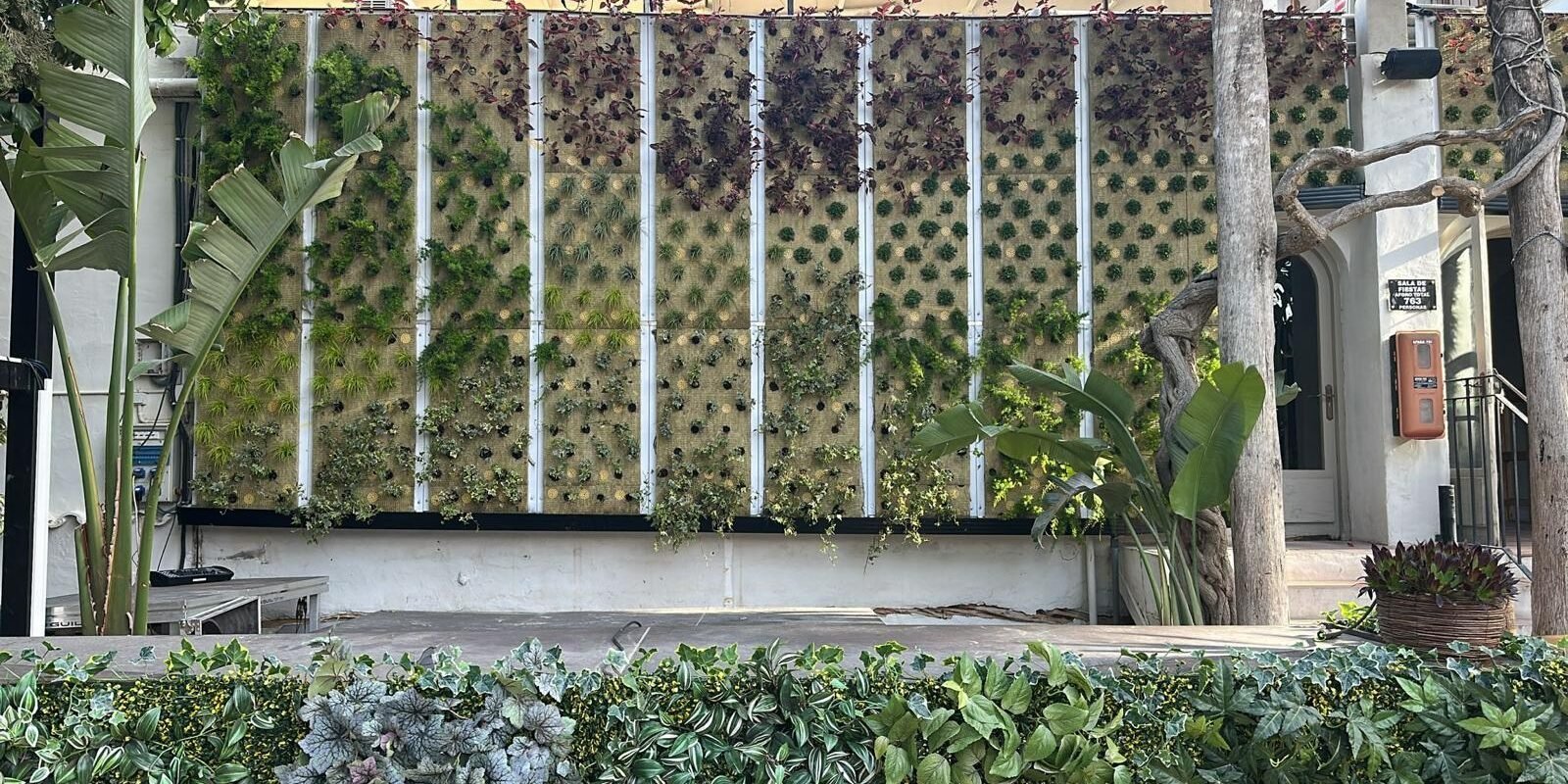 WhatsApp Image 2025-03-27 at 12.04.15