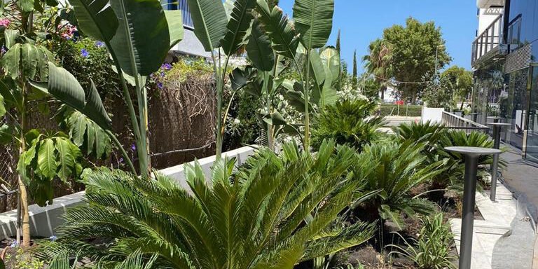 interiores calendula