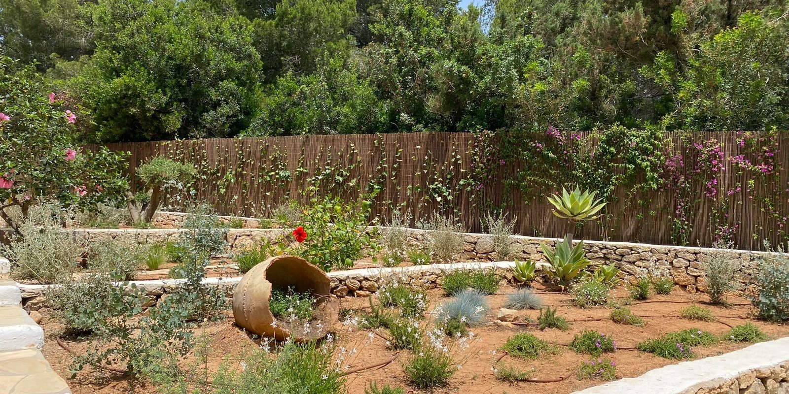 jardines meditarreneso 3